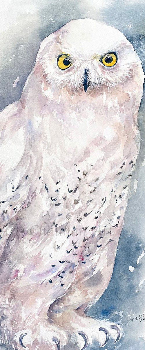 Snow Owl White Vida by Arti Chauhan