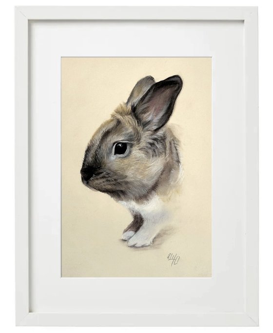 Portrait of a cute rabbit