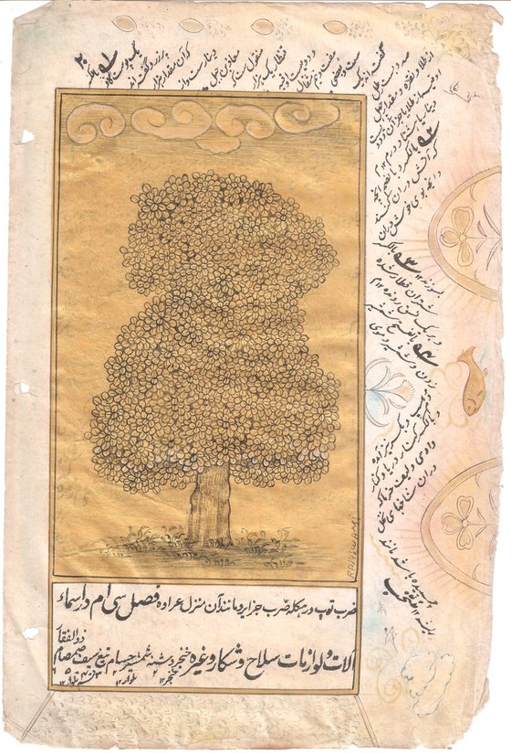 Antique Banyan Tree with Persian Calligraphy