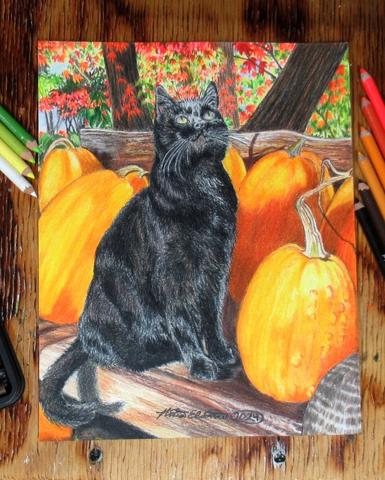 Binx's Autumn