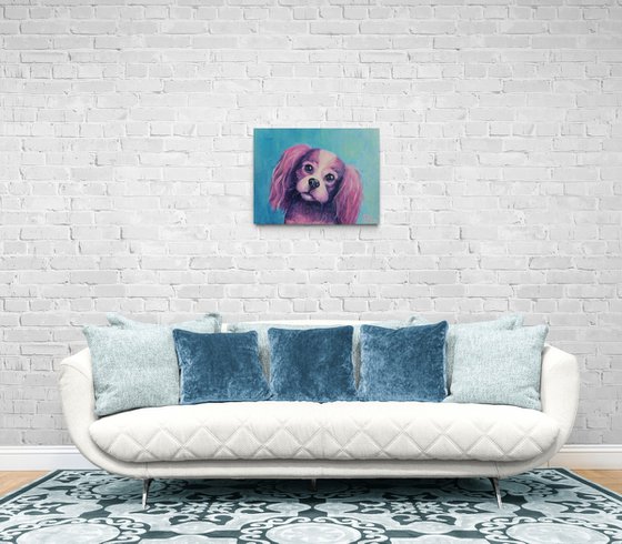 Cavalier King Charles Spaniel. 50x40 cm