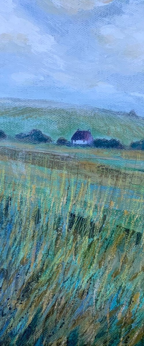 Across the Fields by Janice MacDougall