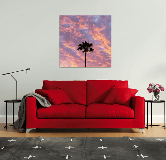CANARY PALM SILHOUETTE