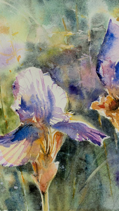 Irises by Eve Mazur