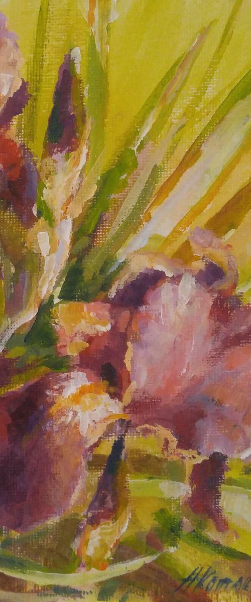 Irises (5x7x0.1'') (framed 8.7x7x0.5") by Alexander Koltakov