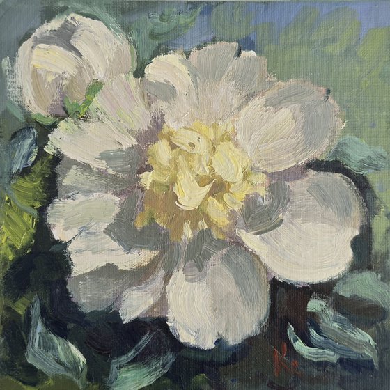 "Peony"