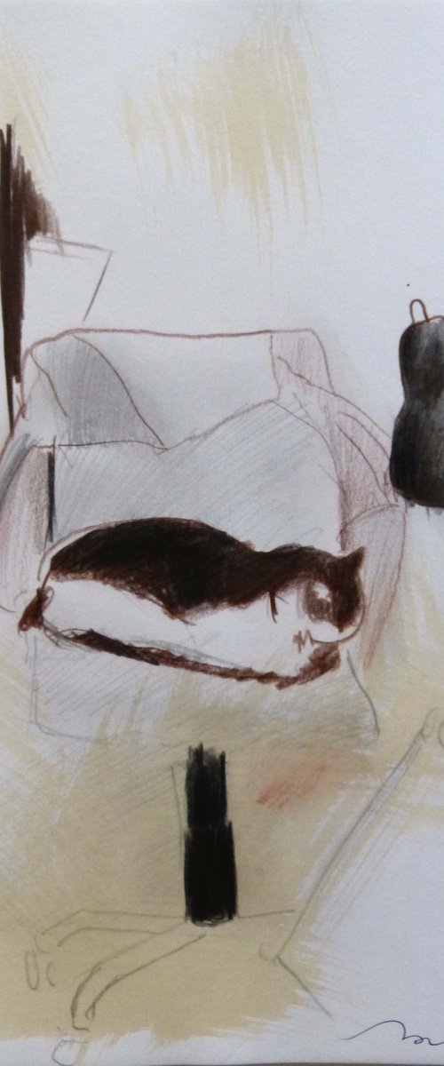 Mimi at home, pencil drawing of my cat 29x21 cm by Frederic Belaubre