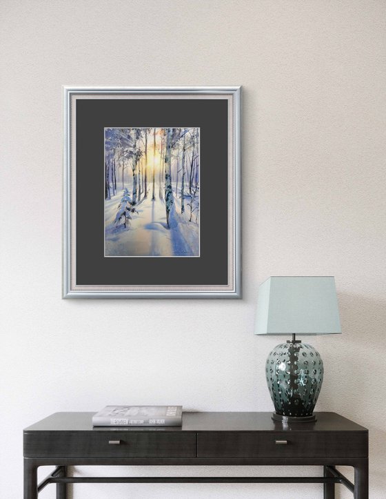 Birch grove in winter glow