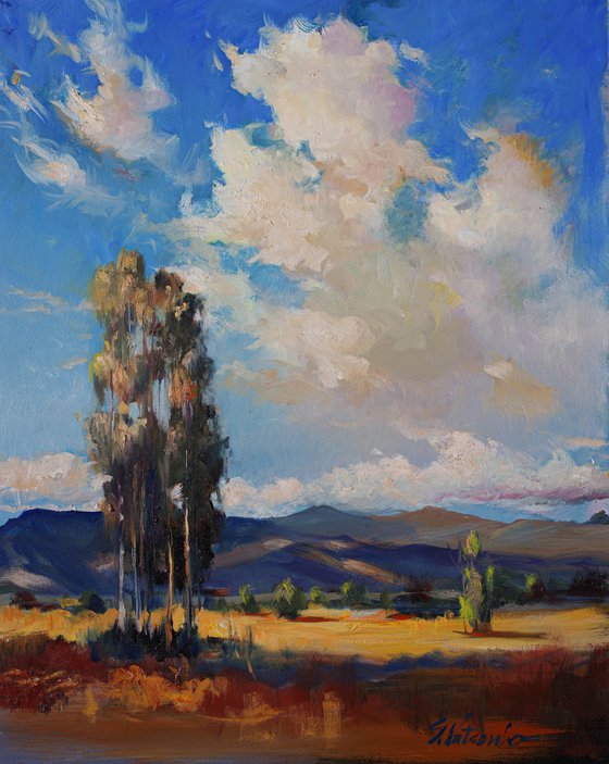 Somewhere in California