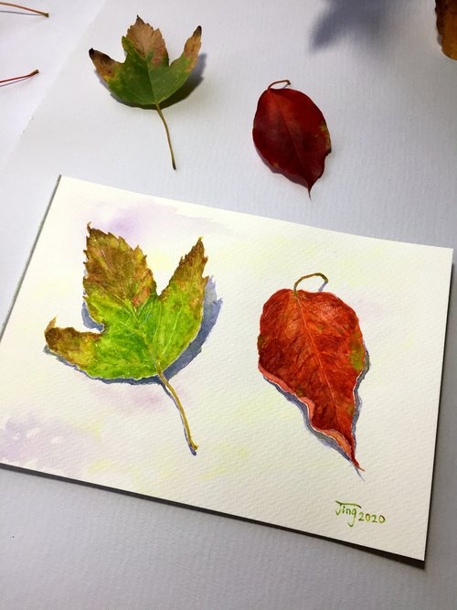 Autumn leaves by Jing Tian