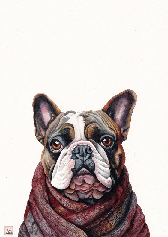 Bulldog