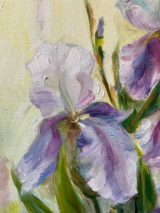 DELICATE IRISES