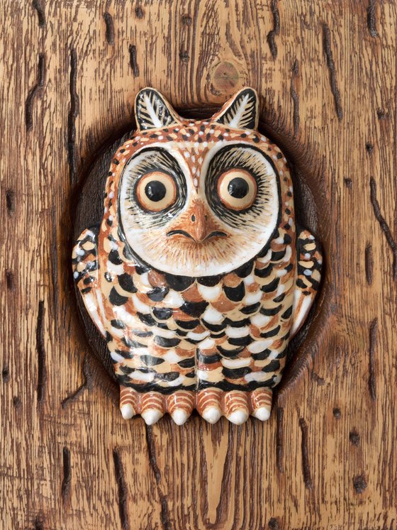 Owl