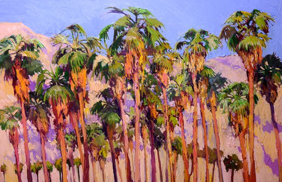 Palm Trees of the Desert, Palm Springs