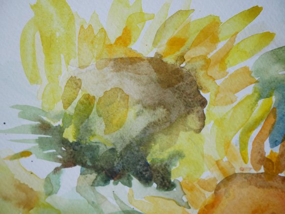 Sunflowers