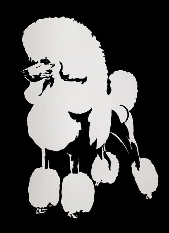 Standard Poodle IV