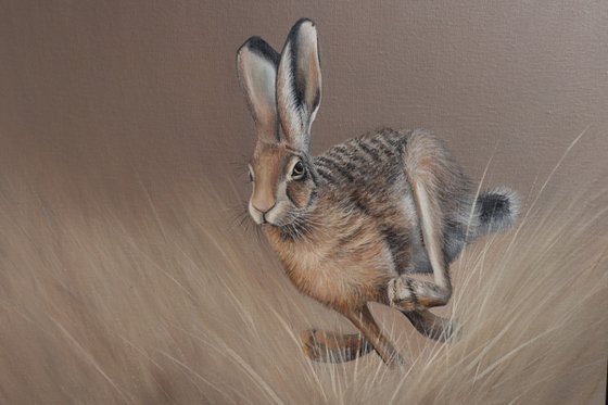 Hare in the Meadow's Embrace