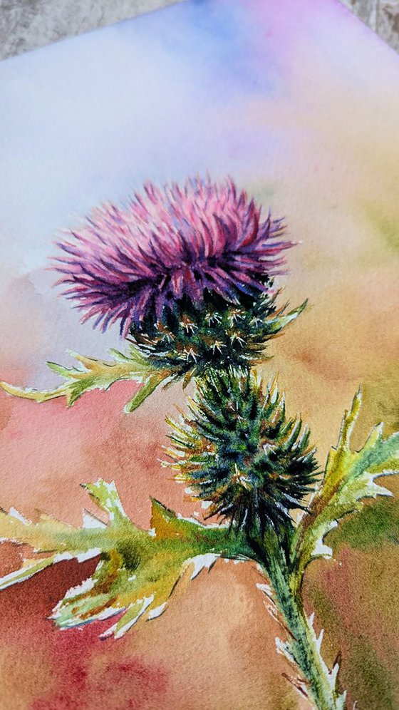 Thistle