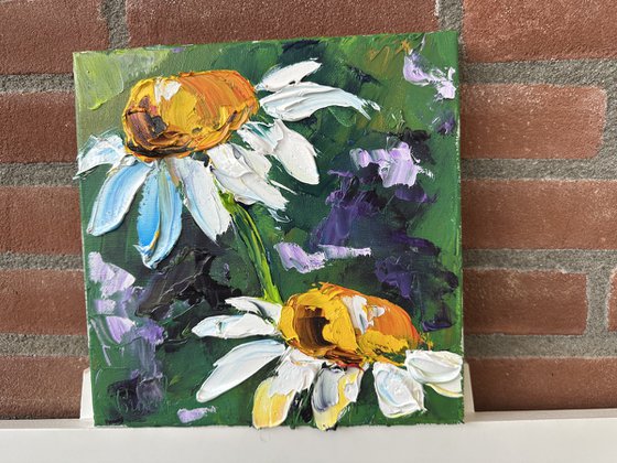 Two daisies