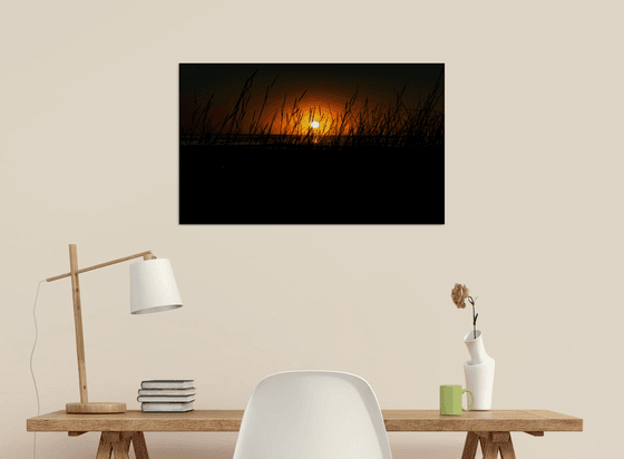 Dawn's Dune Sentinels