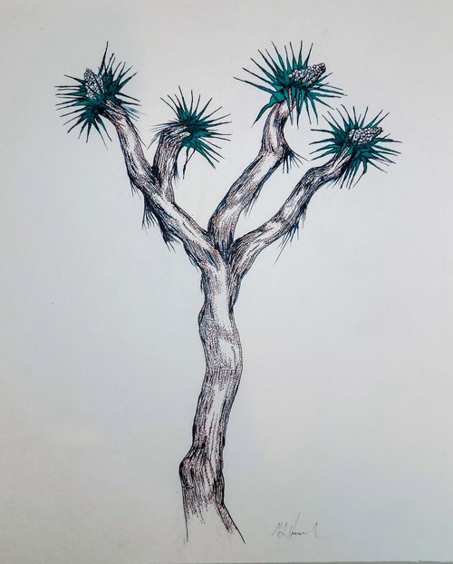 Joshua Tree #4 by Mark Hannah