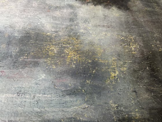 A young, lonely spruce tree