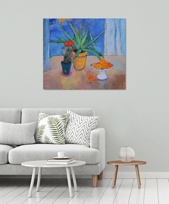 Aloe Vera and cactus