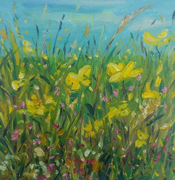 Buttercup Meadow - summer sunshine