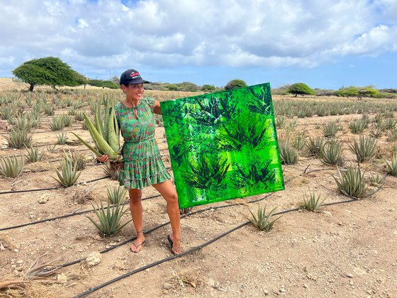 Cacti and Aloe