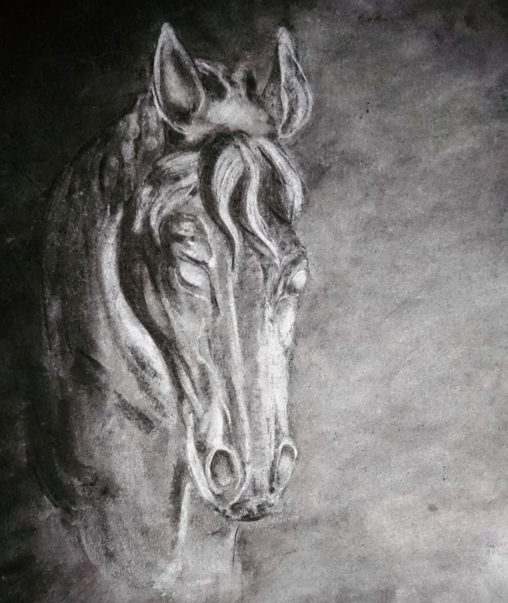 Study of a horse head Charcoal drawing by Katerina Kovalova Artfinder