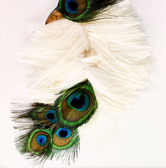 The young bird of paradise