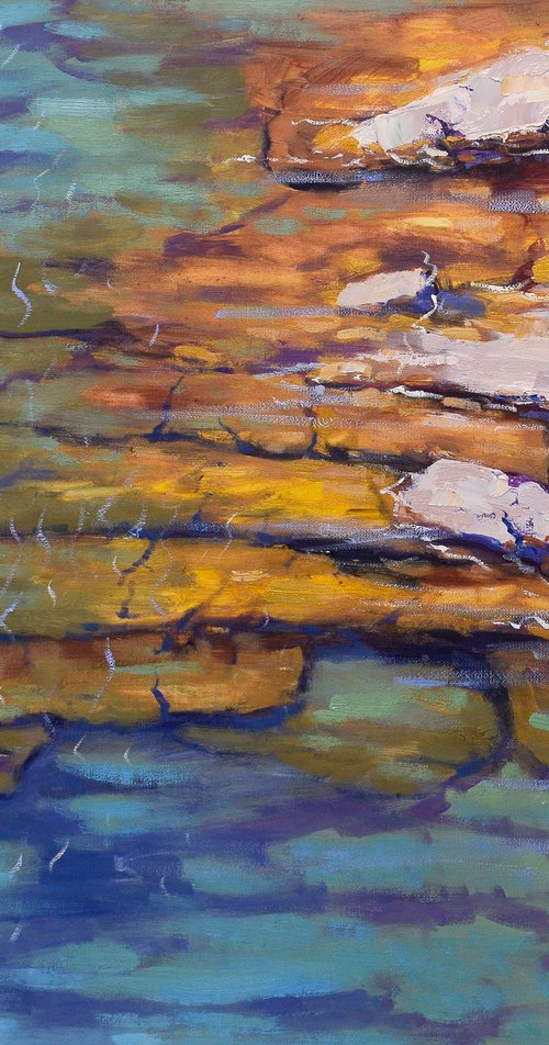 Coastal Rock Pool by Graham Gercken