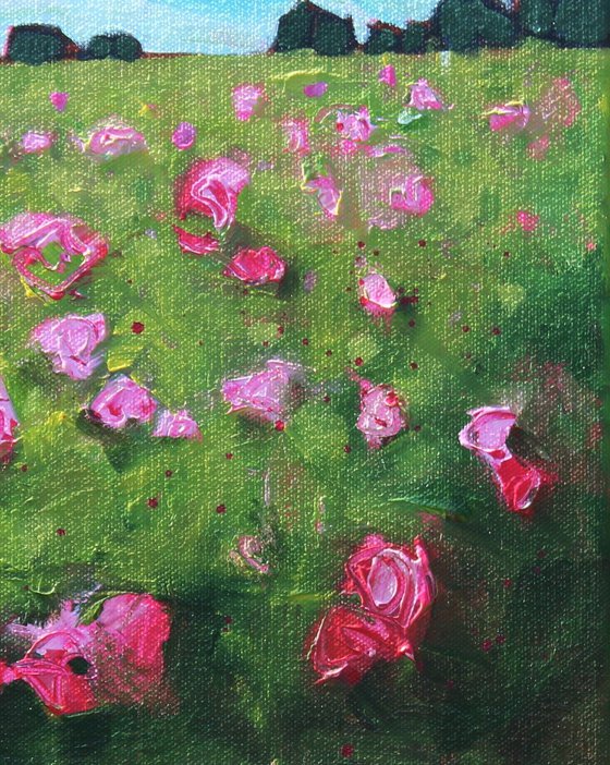 Wild Roses