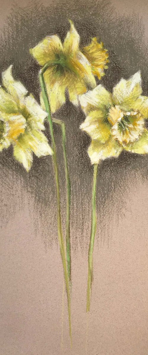 Daffodils. One of a kind, original painting, handmade work, gift. by Galina Poloz