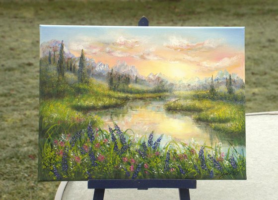 Sunset at the bluebonnet field