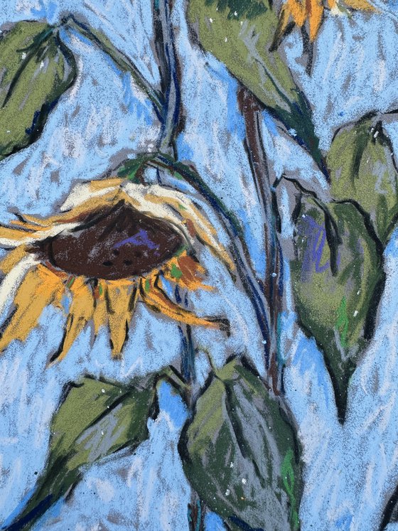 Sunflowers on Blue