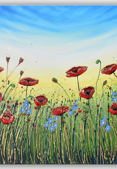 Red Summer Poppies by Amanda Dagg