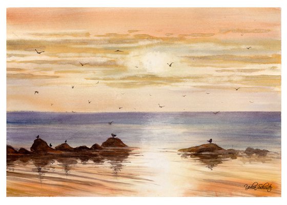 Seegulls and Sunset
