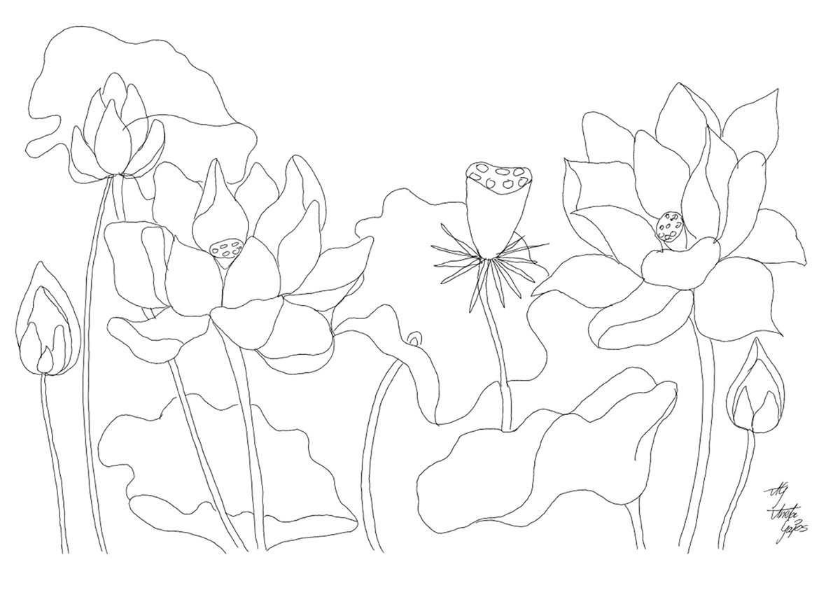 Illustrative Botanical Giclee Print By Aneta Gajos, 20 X 16, Lotos, Original Artwork