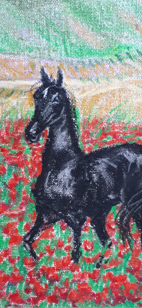 Horse and Poppies... /  ORIGINAL OIL PASTEL DRAWING by Salana Art Gallery