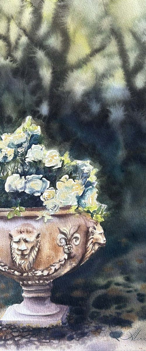 Roses in the shade by Alina Karpova