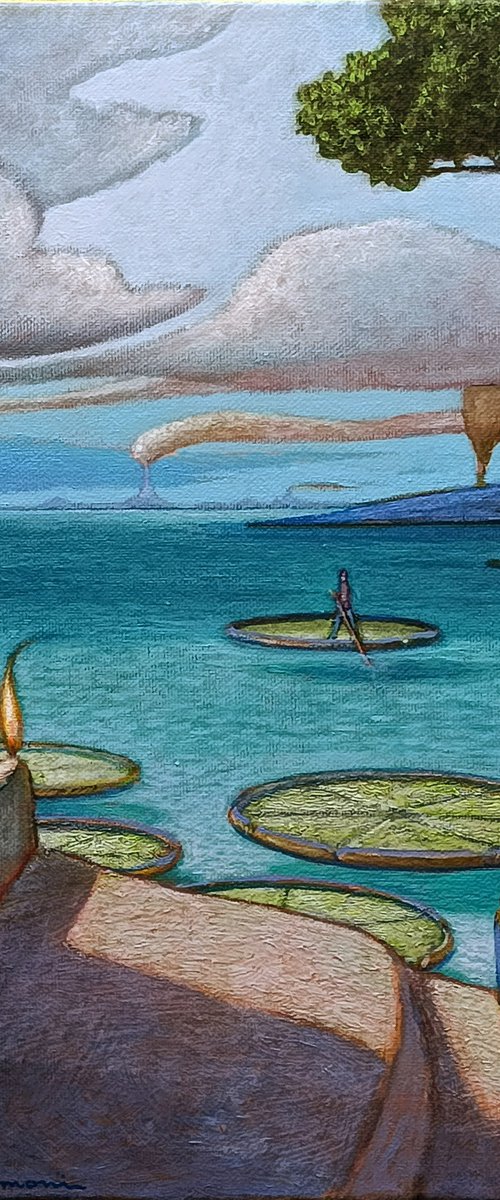 THE GIANT WATER LILIES by Carlo Salomoni