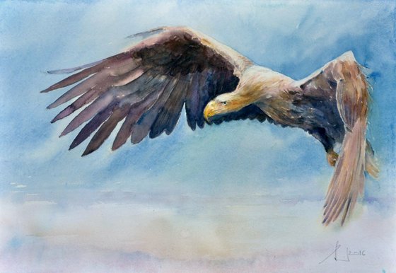 SEA EAGLE original watercolour 46x32