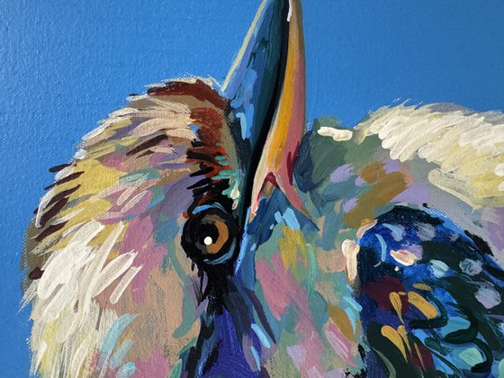 Three Kookaburras III