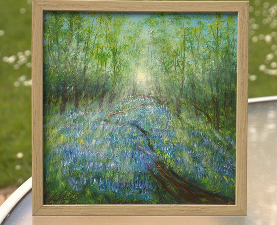 Bluebell woodland