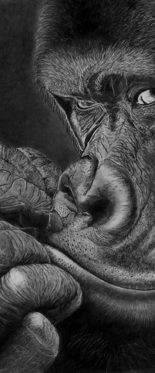 Thinking of Fay! by Paul Stowe