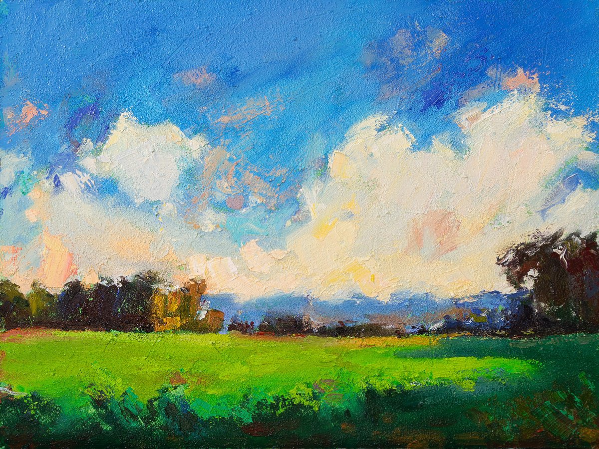 Impressionistic Landscape Oil Painting By Daria Zavadenko, 16 X 12, Sunrise Meadow, Original Artwork