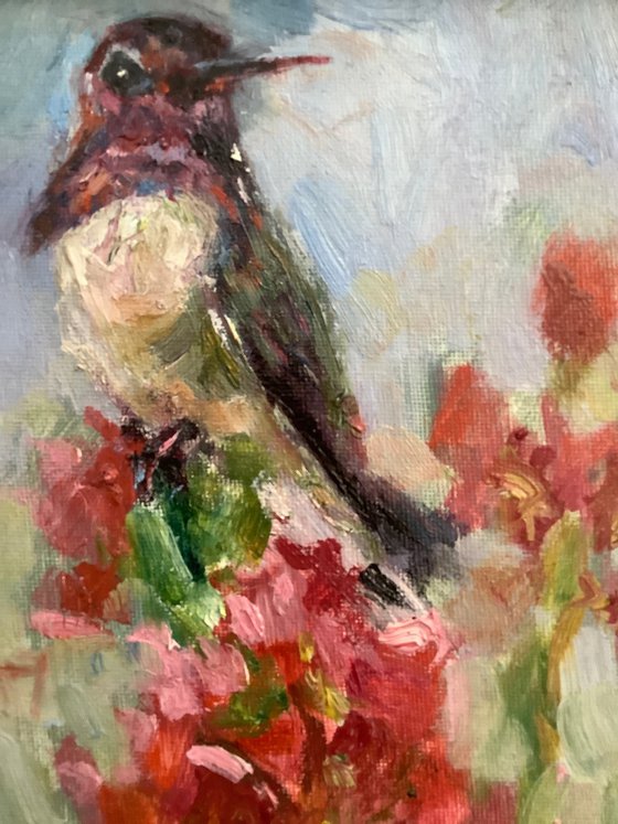Hummingbird