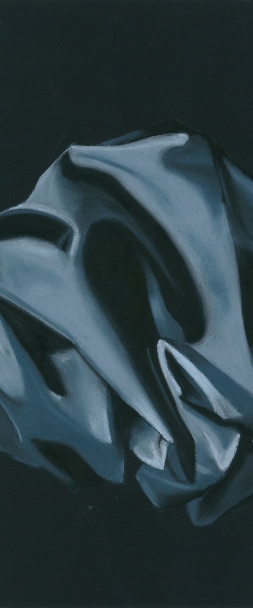 Satin Black On Black by Kristine Facchetti