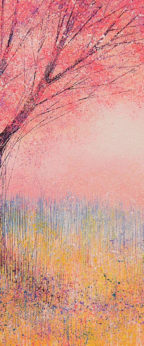 Cherry Blossom at Sunset by Marc Todd